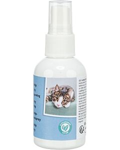 Trixie Spray Catnip à base d'herbe à chat à vaporiser Chat 50 ml