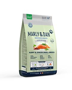 Marly & Dan chiot petite race saumon