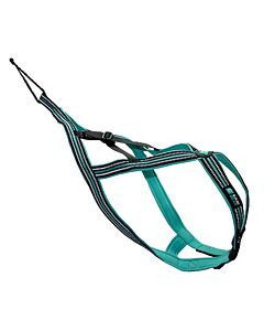 Cani Gear pettorina Olympia cane blu XS