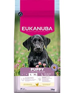 Eukanuba Growing Puppy Large Breed  con Pollo 12 kg