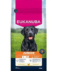 Eukanuba Chien Junior L/XL Poulet 12 kg