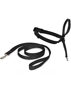 Easy Walk Licol Chien noir S - La Compagnie des Animaux