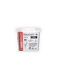 Hami Form Education mini snack cane 170 g