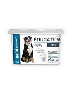 Hami Form Education maxi snack cane 475 g