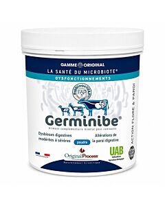 Germinibe Ruminants Poudre 500 g
