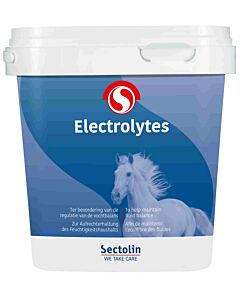 Sectolin Elettroliti cavallo 1 kg