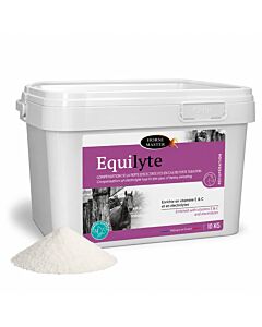 Horse Master Equilyte 10 kg