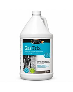 Gastrix Bidon 3.78 L - La Compagnie des Animaux