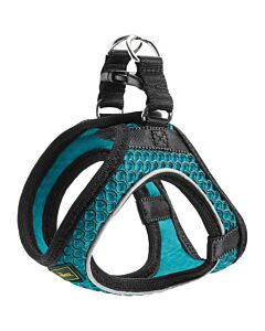 Hunter Harnais Hilo Comfort pour chien turquoise - La Compagnie des Animaux