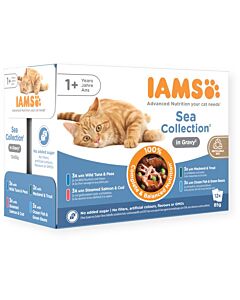 IAMS Advanced Nutrition Multipack "Mer" en sauce Chat 12 x 85 g
