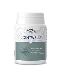 Dorwest JointWell 100 cp