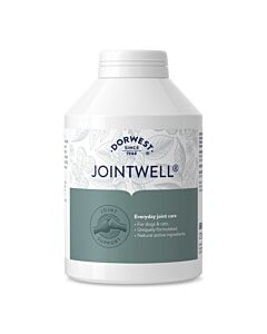 Dorwest JointWell 500 cp