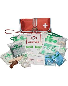 Kurgo Kit Pronto Soccorso Kurgo Paprika per Cane