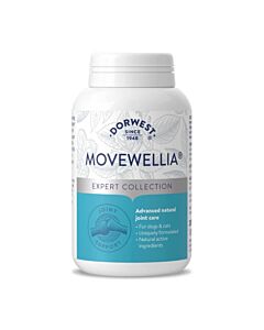 Dorwest MoveWellia 

