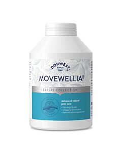 Dorwest MoveWellia 500 cp