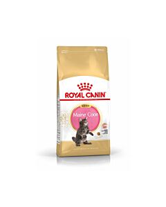 Royal Canin Maine Coon Chaton 2 kg- La Compagnie des Animaux