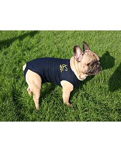 Medical Pet Shirt Cane XXXS