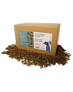 Bestico Nutriworms Larves soufflées 1,5 kg

