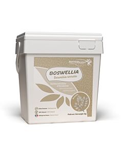 Phyto Master Boswellia Serrata Poudre