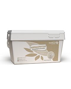 Phyto Master Harpagophytum souplesse articulaire cheval