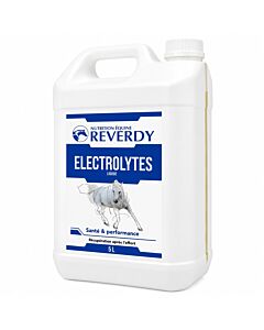 Reverdy Electrolytes Liquide