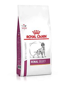 Royal Canin Vet Chien Renal Select