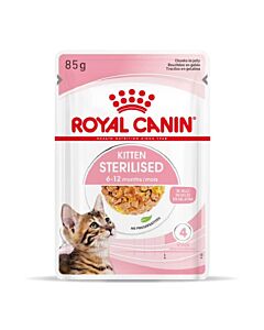 Royal Canin Kitten Sterilised bustina in gelatina 12 x 85 g