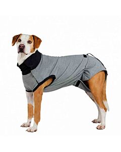 Trixie Body de protection pour chien S