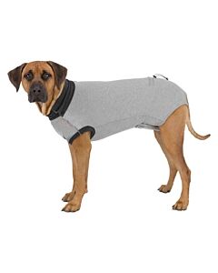 Trixie Body protettivo per cani grigio XS–S