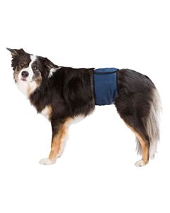 Couches lavables Trixie pour chiens mâles en bleu foncé