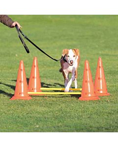 Trixie Obstacles set 2 pcs - La Compagnie des Animaux