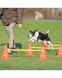 Trixie Obstacles set 3 pcs