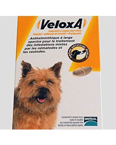 Veloxa Chien 2 cps