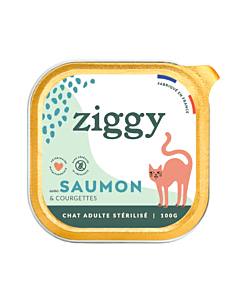 Ziggy Paté senza cereali gatto sterilizzato salmone 4 x 100 g