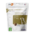 Easypill Confort Urinaire Chien 42x 4 g