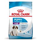Royal Canin Giant Puppy - La Compagnie des Animaux
