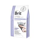 Brit Vet Diet Cat Gastrointestinal Grain Free 2 kg
