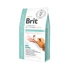 Brit Vet Diet Dog Struvite Grain Free 2 kg