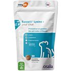Easypill Lysine+ Chat 60 g