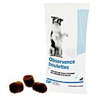 Observence cane 15 bocconcini