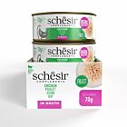 Schesir Complements Pollo Gatto 12 x 70 g