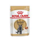 Royal Canin British Shorthair Adult 12 x 85 g