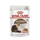 Royal Canin Feline Health Nutrition Ageing +12 in salsa 12 x 85 g