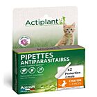 Actiplant Pipette antiparassitarie Gattino x2
