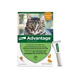 Advantage 40 chat et lapin de 1 à 4 kg pipettes x4

