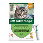 Advantage 40 chat et lapin de 1 à 4 kg 6 pipettes
