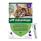 Advantage 80 chat et lapin de + de 4 kg pipettes x6

