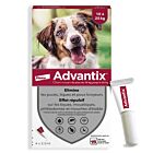 Advantix chien moyen (10 - 25 kg) - 4 pipettes- La Compagnie des Animaux