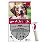 Advantix chien moyen (10-25 kg) - 6 pipettes- La Compagnie des Animaux