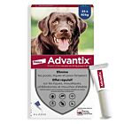 Advantix grand chien (25 - 40 kg) - 4 pipettes- La Compagnie des Animaux